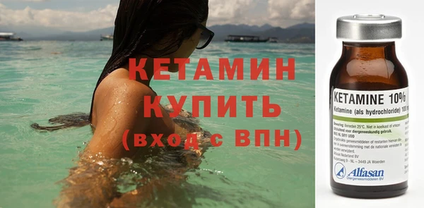 сатива Бородино
