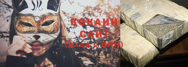 сатива Бородино