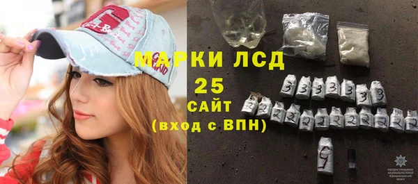 сатива Бородино