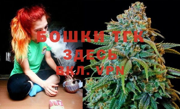 сатива Бородино