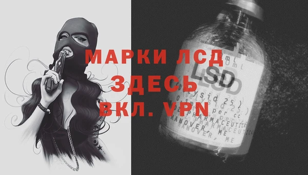 сатива Бородино